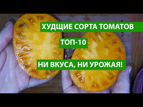 Видео: ХУДШИЕ сорта ТОМАТОВ, которые я больше НИКОГДА НЕ ПОСАЖУ! Вкуса НЕТ, урожая нет!