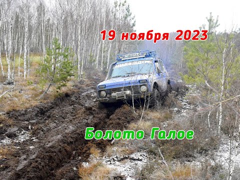Видео: 2023.11.19_Болото_Галое #offroad #Джиперы