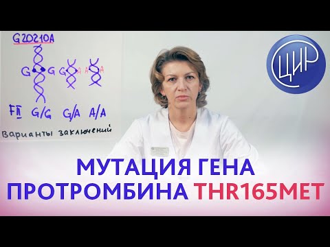 Видео: МУТАЦИЯ гена протромбина THR165MET - это тромбофилия? Рассказывает врач ЦИР Дементьева С.Н.