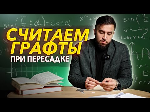 Видео: КАК ПОСЧИТАТЬ ГРАФТЫ?