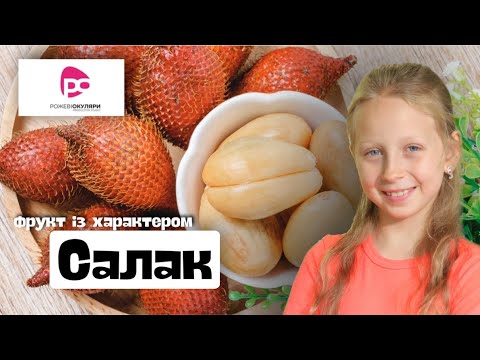 Видео: САЛАК// Яна Хороз// Тема програми: Найдивніші фрукти