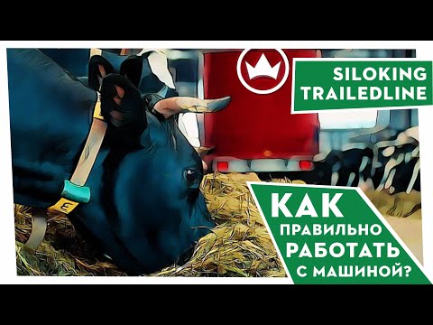 Видео: Siloking TrailedLine Compact | Про ввод и правильную эксплуатацию смесителя-кормораздатчика