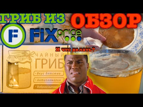 Видео: Чайный гриб из Фикс прайс Это провал? Обзор на чайный гриб FixPrice