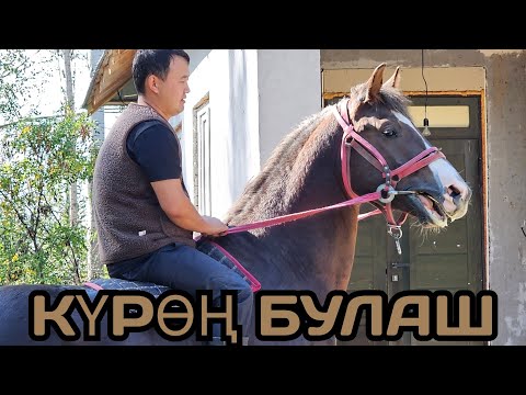 Видео: БУЛАШ