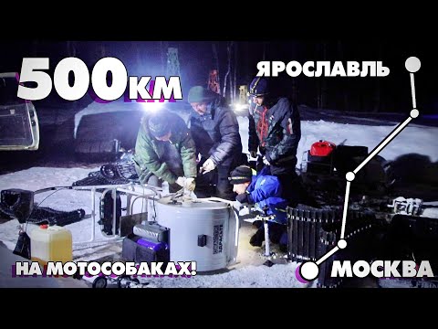 Видео: ОПЯТЬ ПРОБЛЕМЫ!? Порвали гусянку... Из Москвы в Ярославль 500км на МОТОСОБАКАХ! Серия 3