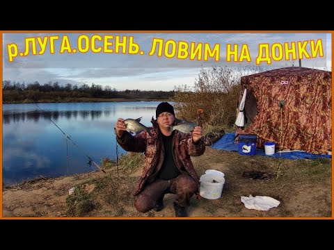 Видео: р. ЛУГА .Поздняя ОСЕНЬ.Ловим на ДОНКИ .