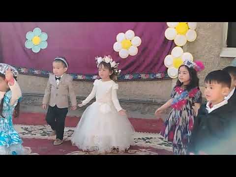 Видео: 27 октября 2025 г.