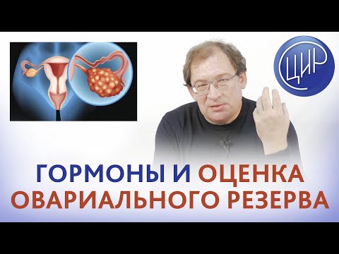 Видео: Овариальный резерв. Гормональная оценка овариального резерва. Превращения стероидных гормонов. ДГЭА.