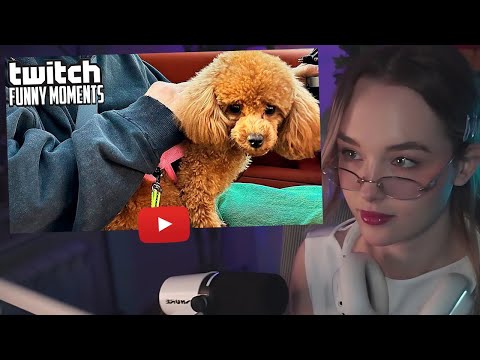 Видео: УРАНИУМ СМОТРИТ - Топ Моменты с Twitch | Несчастный Случай у Бустера