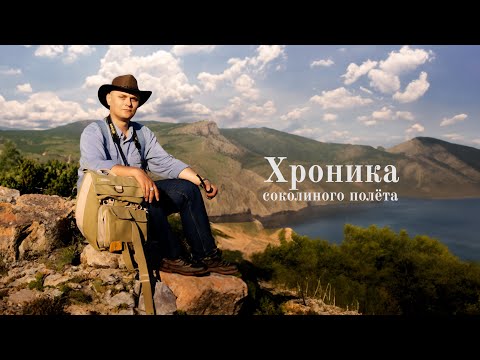 Видео: Документальный фильм "Хроника соколиного полёта" (Памяти Олексы Гайворонского)