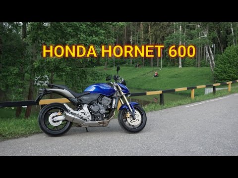 Видео: Злой шершень. Honda CB 600F hornet