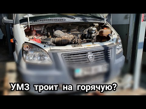 Видео: УМЗ-4216 троит на горячую, в чем причина? 43179км.