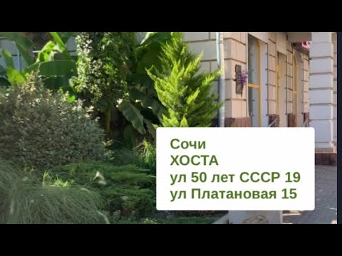 Видео: СОЧИ СЕГОДНЯ / ХОСТА / по вашим просьбам