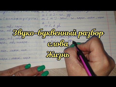 Видео: Звуко-буквенный разбор слова Жизнь