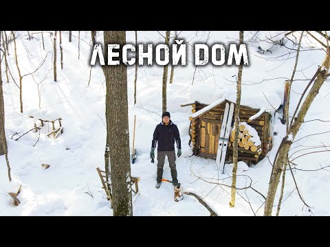 Видео: Возвращение в ЛЕСНОЙ ДОМ | НЕЗВАНЫЕ ГОСТИ наследили у ЗЕМЛЯНКИ | Переделал ОКНО