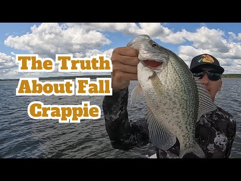 Видео: Правда об осенней рыбалке на краппи: три вещи, которые вам следует знать