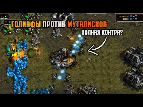 Видео: Старкрафт Т VS Z Полная контра муталисков!