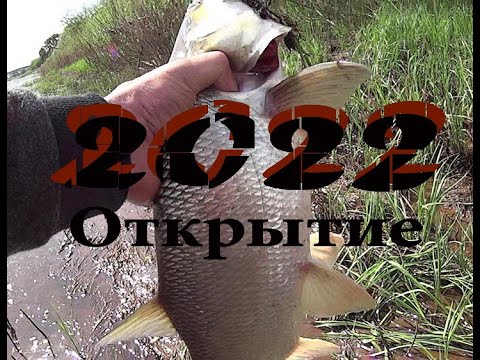 Видео: 2022. Открытие сезона.