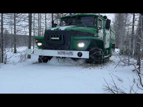 Видео: Цепи. Дорога в лес. (Часть 1) 01 декабря 2024 год.
