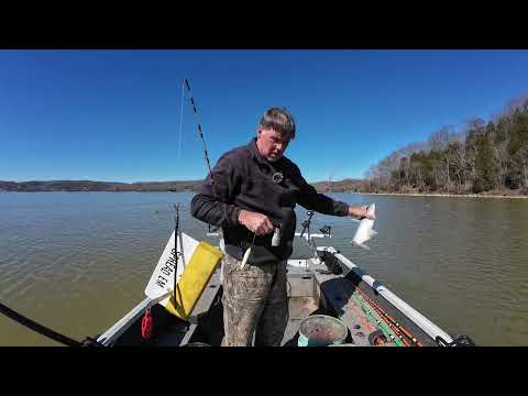 Видео: Наживка для сома "Шведский стол"