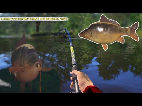 Видео: НА ЭТОЙ ТОЧКЕ ФАРМЯТ БОЛЬШЕ 1000 СЕРЕБРА ЗА ЧАС?! ПРОВЕРКА ТОЧКИ НА МЕДНОМ!