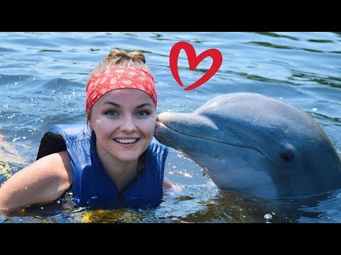 Видео: Было ОЧЕНЬ страшно! Плавание с дельфинами, водопады, город Тринидад