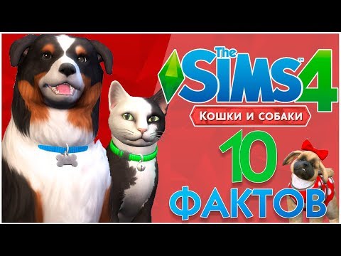 Видео: The Sims 4 Кошки и собаки - 10 Фактов!