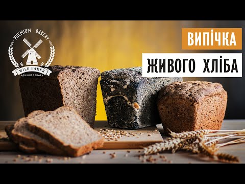 Видео: ВИПІЧКА ХЛІБА З ЦІЛЬНОЗЕРНОВОГО БОРОШНА НА ЖИТНІЙ ЗАКВАСЦІ | Дикий пекар  #10