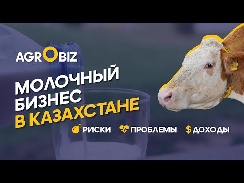 Видео: Молочное животноводство в Казахстане: как зарабатывают на КРС? | АгроКараван Молоко 2021 | AgroBiz