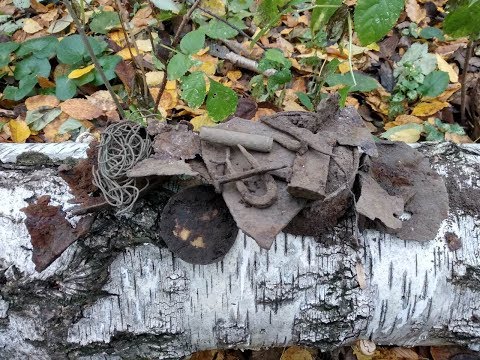 Видео: ЧТО МОЖНО НАЙТИ НА ХУТОРЕ ГЛУБИННИКОМ ТМ-808