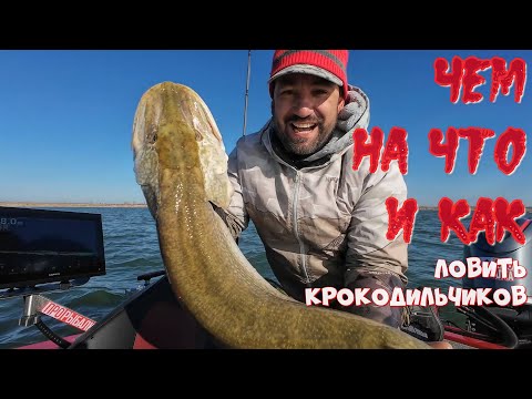 Видео: весёловское водохранилище, обычная рыбалка с необычным результатом