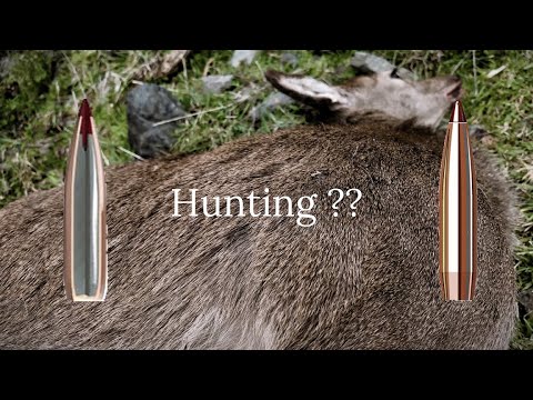 Видео: Можно ли использовать пули Hornady ELD-Match для охоты?