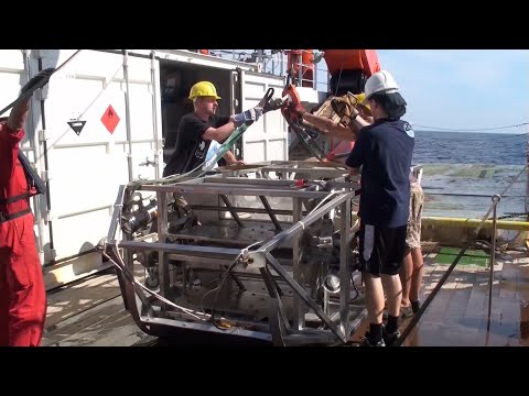 Видео: Морская / Южные Курилы – край эндемичной природы / 02.05.24