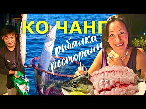 Видео: Таиланд, Остров Ко Чанг. Свежайшее Сашими из Морской Рыбы и Самый Отвратительный Гребешок