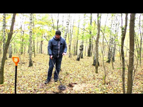 Видео: Он потерял глубину после прошивки Металлодетектор Minelab X-Terra Pro