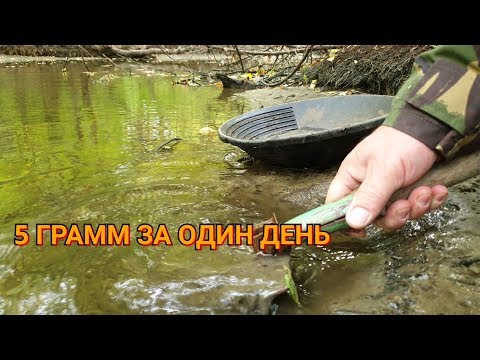 Видео: 5 ГРАММ ЗОЛОТА ЗА ОДИН ДЕНЬ