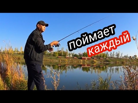 Видео: Ловля окуня на ДРОП-ШОТ. Простой узел ДРОП-ШОТ (Drop-shot)