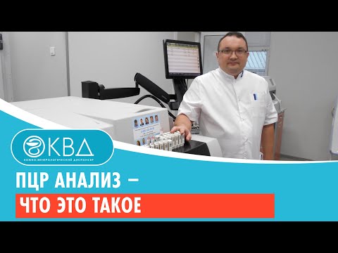 Видео: ПЦР анализ – что это такое