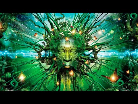 Видео: Муджи -За пределами Сознания, озвучивает [Nikosho]