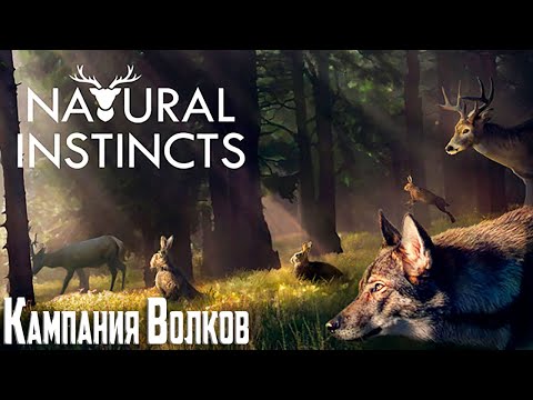 Видео: Кампания за Волков - Natural Instincts Первый Взгляд
