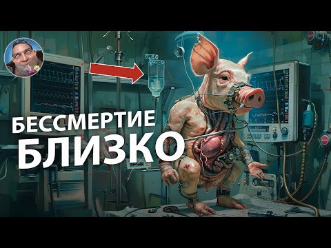 Видео: 10 Шокирующих МЕД-технологий в 2024