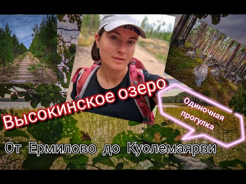 Видео: Высокинское озеро. Одиночная прогулка от Ермилово до Куолемаярви.