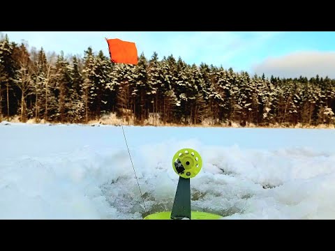 Видео: НЕ ОЖИДАЛ ТАКИХ ЩУК В СИЛЬНЫЙ МОРОЗ.РЫБАЛКА НА ЖЕРЛИЦЫ 2024.ЗИМНЯЯ РЫБАЛКА