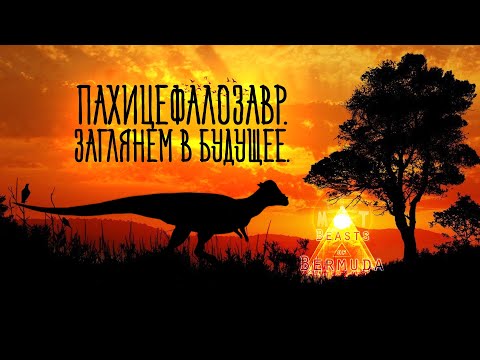 Видео: ||BEASTS OF BERMUDA - БУДУЩЕЕ ИГРЫ И КРАТКИЙ ОБЗОР ПАХИЦЕФАЛОЗАВРА