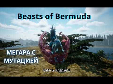 Видео: Beasts of Bermuda. МЕГАРА С ГНЕЗДА И МУТАЦИЯ! Часть первая.