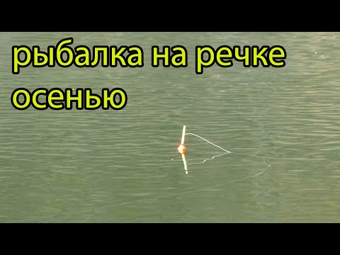 Видео: НА РЫБАЛКЕ ПРИШЛА ПОЛНАЯ ЗАДНИЦА! Хорошая  Рыбалка на поплавок на речке.