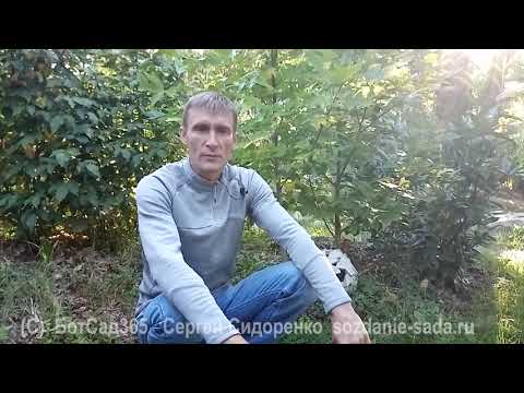 Видео: Как сократить уход за садом? 5 секретов. Приглашение на курс.