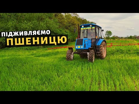 Видео: Підживлення пшениці по листку. Збільшуємо врожайність до 6-7 т/га.  Гербіцидна обробка пшениці!