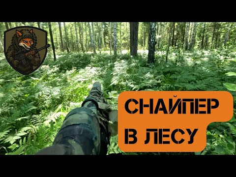 Видео: Снайпер в Лесу. СТРАЙКБОЛ. Airsoft Sniper Gameplay