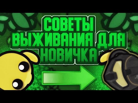 Видео: Devast.io - Советы выживания для новичка